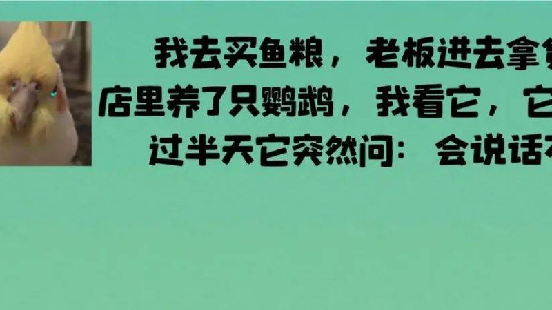 餐饮供应链服务商资质要求解析：合规之路，食品安全保障